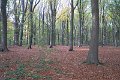 Merchtem_2016_029