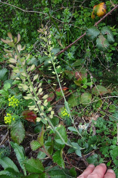 eifel_2015_margriet_190.jpg