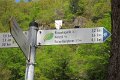 eifel_2015_margriet_004