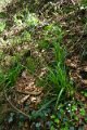 eifel_2015_margriet_025
