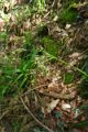 eifel_2015_margriet_026