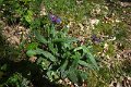 eifel_2015_margriet_041