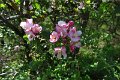 eifel_2015_margriet_044