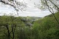 eifel_2015_margriet_048
