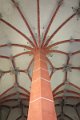 eifel_2015_margriet_063