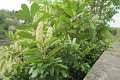 eifel_2015_margriet_072