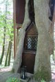 eifel_2015_margriet_099