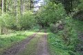 eifel_2015_margriet_100