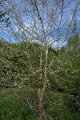 eifel_2015_margriet_105