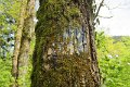 eifel_2015_margriet_109