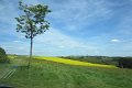 eifel_2015_margriet_116