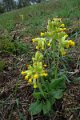 eifel_2015_margriet_132