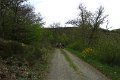 eifel_2015_margriet_133