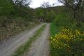 eifel_2015_margriet_134