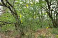 eifel_2015_margriet_136