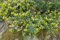 eifel_2015_margriet_137
