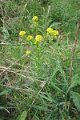 eifel_2015_margriet_138