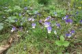 eifel_2015_margriet_139