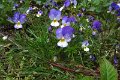 eifel_2015_margriet_140