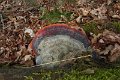 eifel_2015_margriet_143