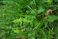 eifel_2015_margriet_146