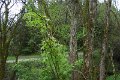 eifel_2015_margriet_147