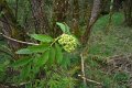 eifel_2015_margriet_148
