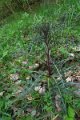 eifel_2015_margriet_154