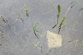 eifel_2015_margriet_160