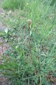 eifel_2015_margriet_164