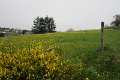 eifel_2015_margriet_172