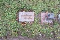 eifel_2015_margriet_174