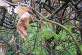 eifel_2015_margriet_178