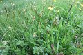 eifel_2015_margriet_181
