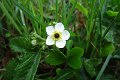 eifel_2015_margriet_194