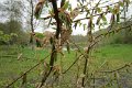 eifel_2015_margriet_199