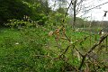 eifel_2015_margriet_204