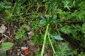 eifel_2015_margriet_210