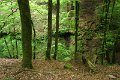 eifel_2015_margriet_237