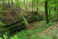 eifel_2015_margriet_239