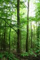 eifel_2015_margriet_248