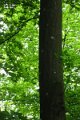 eifel_2015_margriet_249
