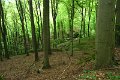 eifel_2015_margriet_250