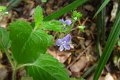 eifel_2015_margriet_252