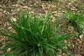 eifel_2015_margriet_253