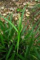 eifel_2015_margriet_254