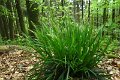 eifel_2015_margriet_255