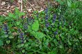 eifel_2015_margriet_258