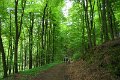 eifel_2015_margriet_259