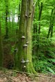 eifel_2015_margriet_263